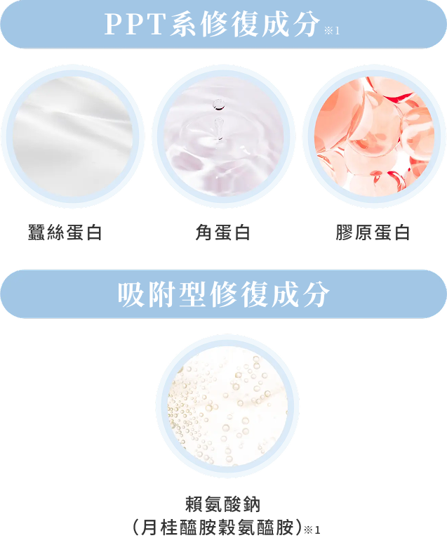 emplir 集中修復受損髮絲